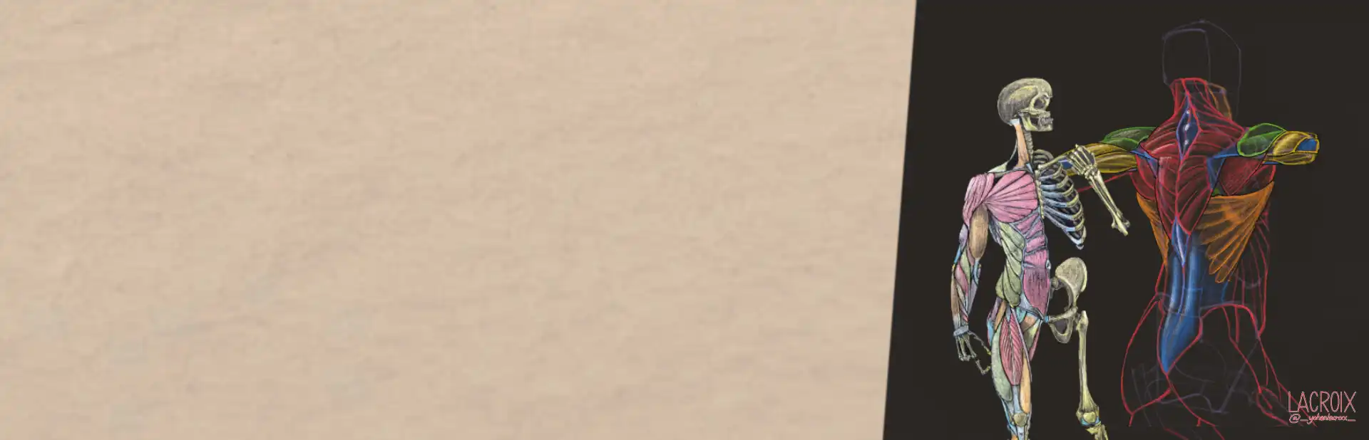 landingstest.layouts.style_3.alt.cours-dessin-anatomie