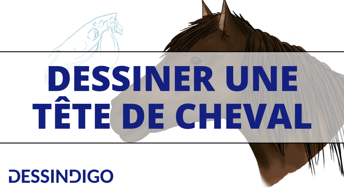 Comment dessiner une tête de cheval