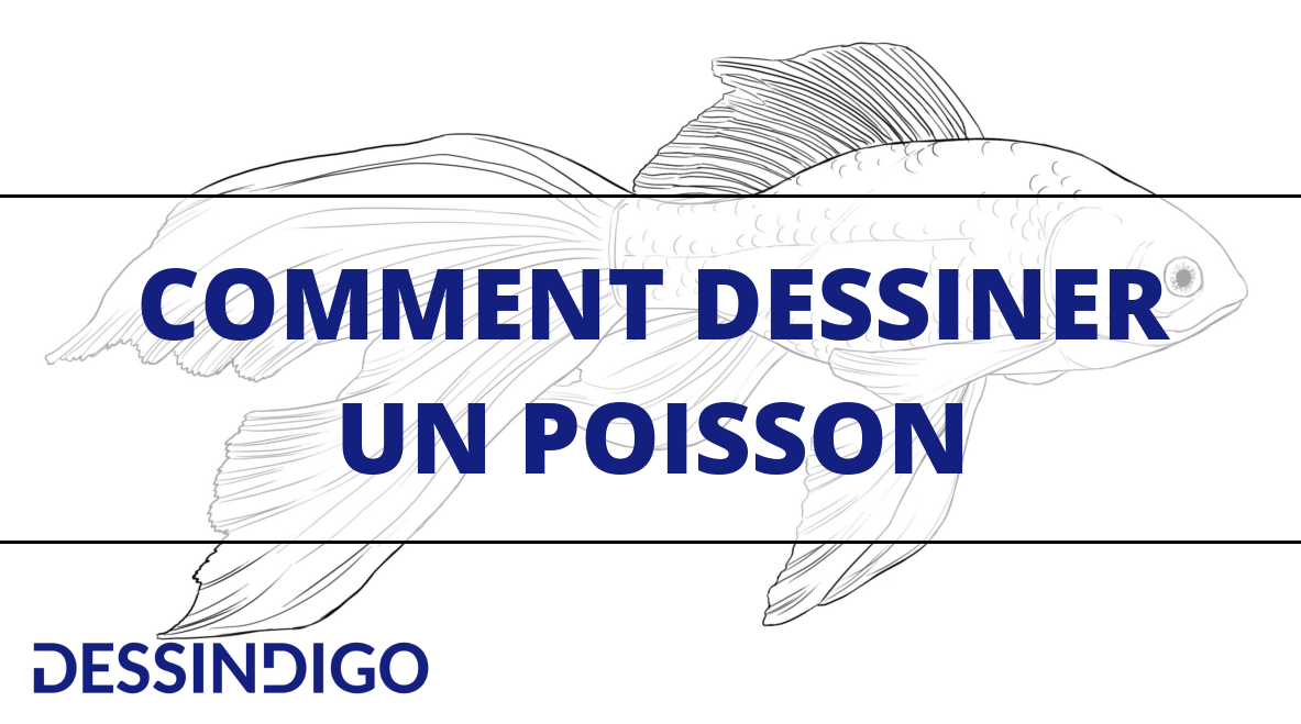 Comment dessiner un poisson