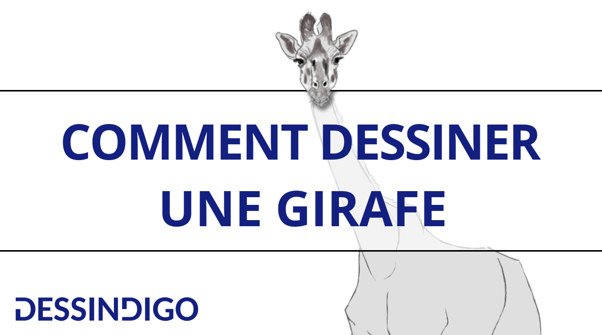 Comment dessiner une girafe