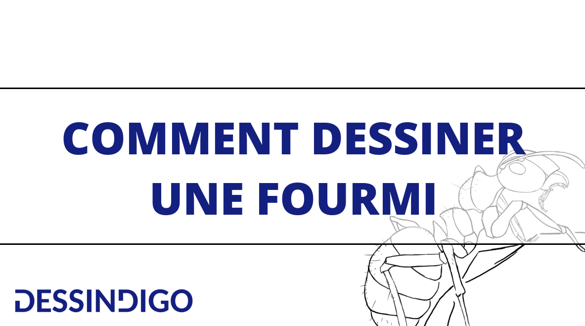 Réaliser un dessin de fourmi