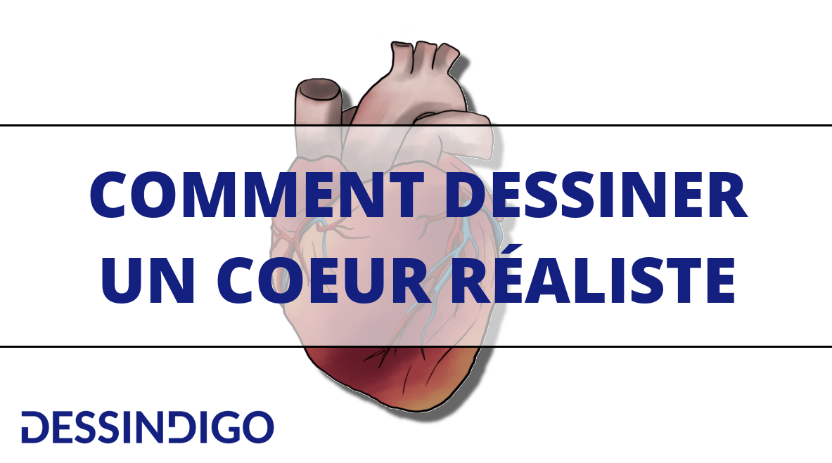 Comment dessiner un coeur humain