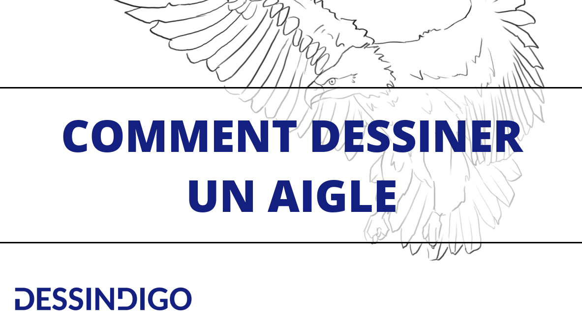Comment dessiner un aigle