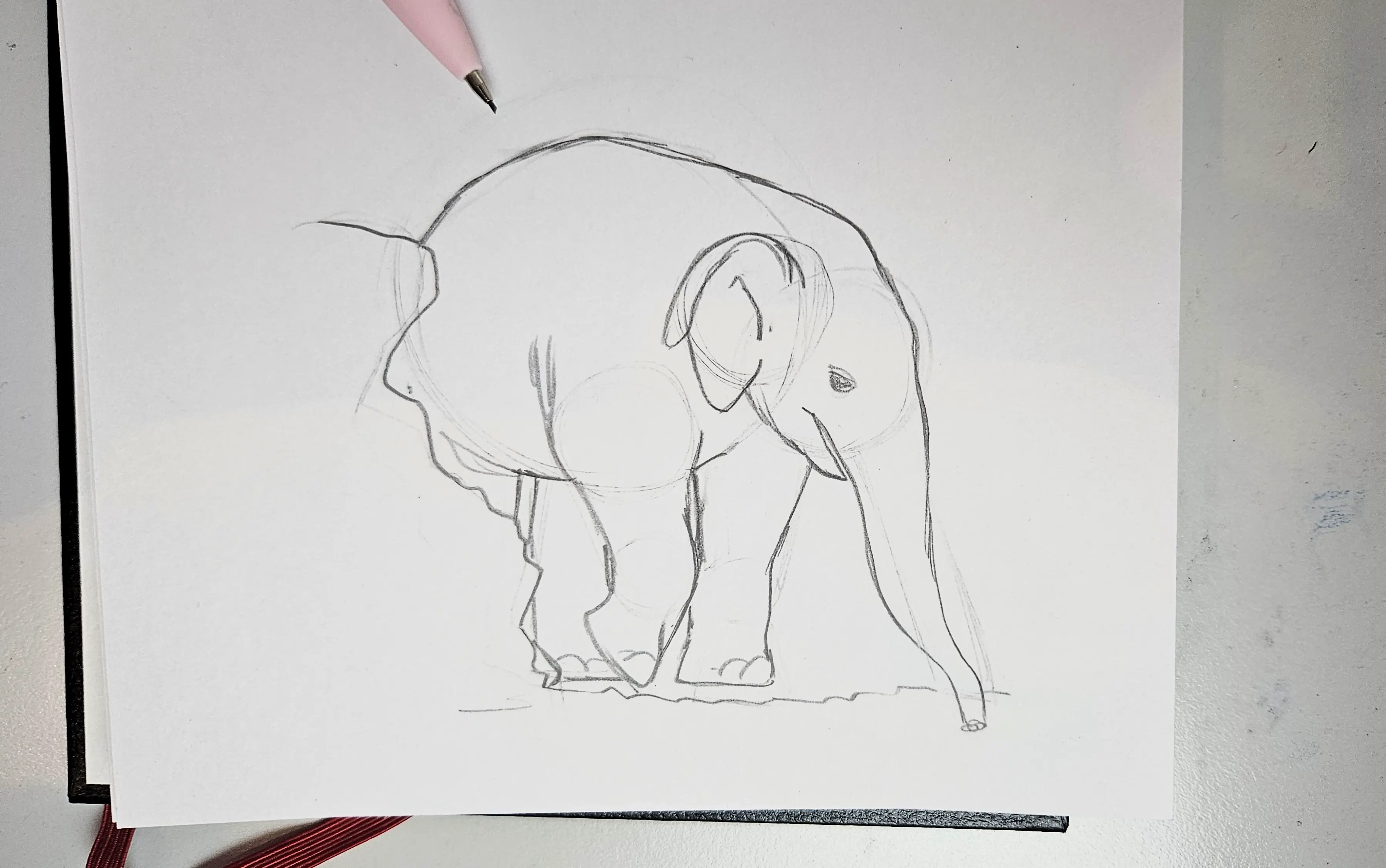 croquis d’un éléphanteau