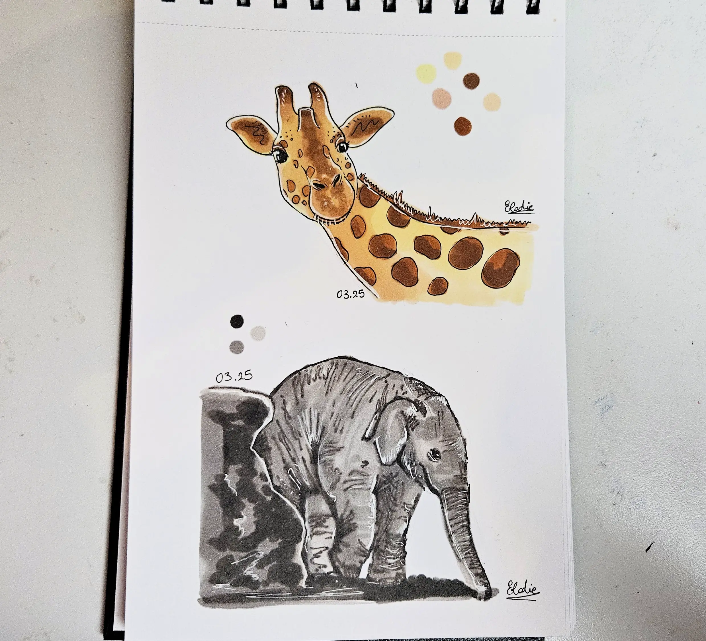 dessin d’animaux aux feutres à alcool