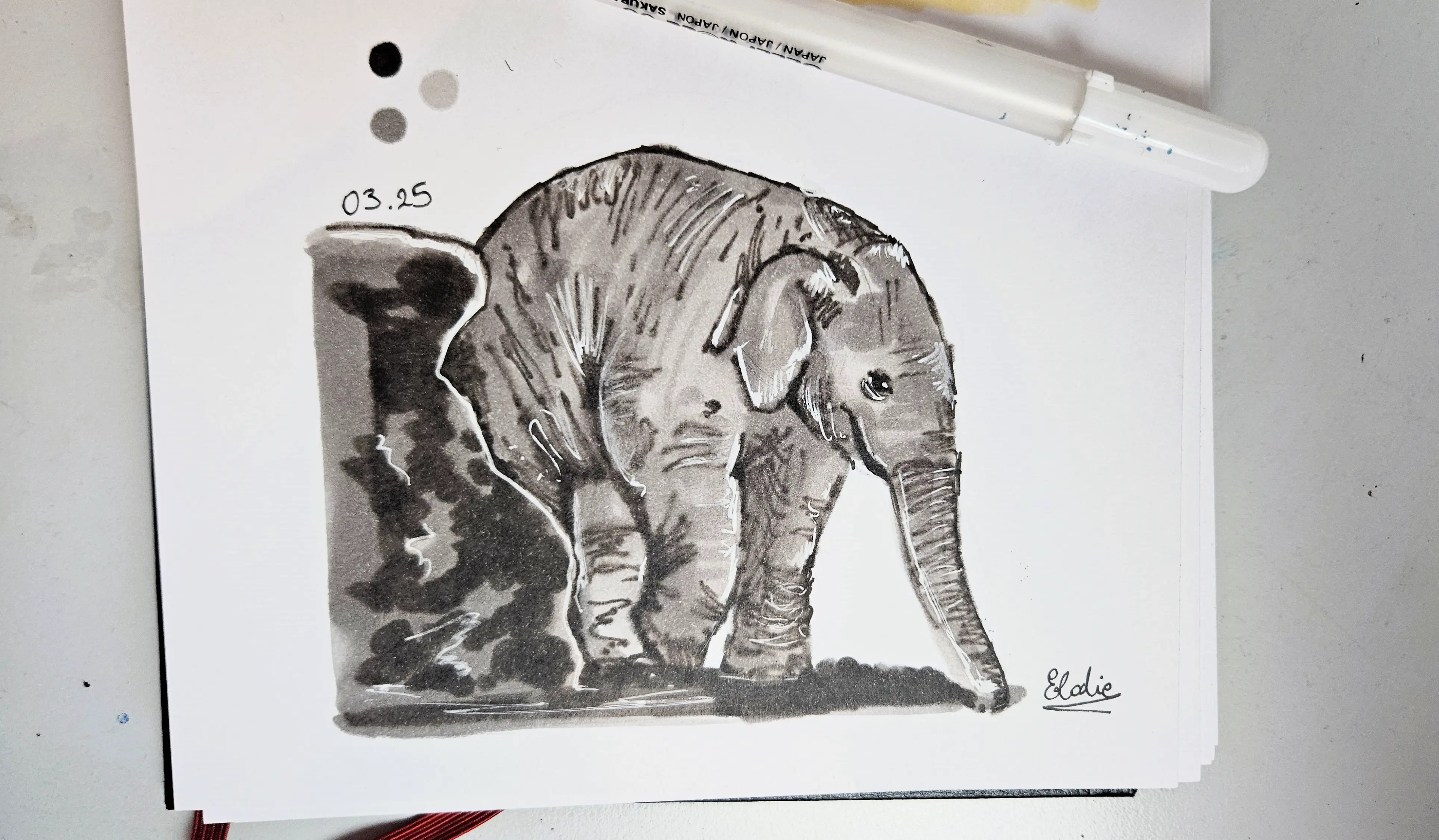 dessiner un éléphanteau aux feutres à alcool