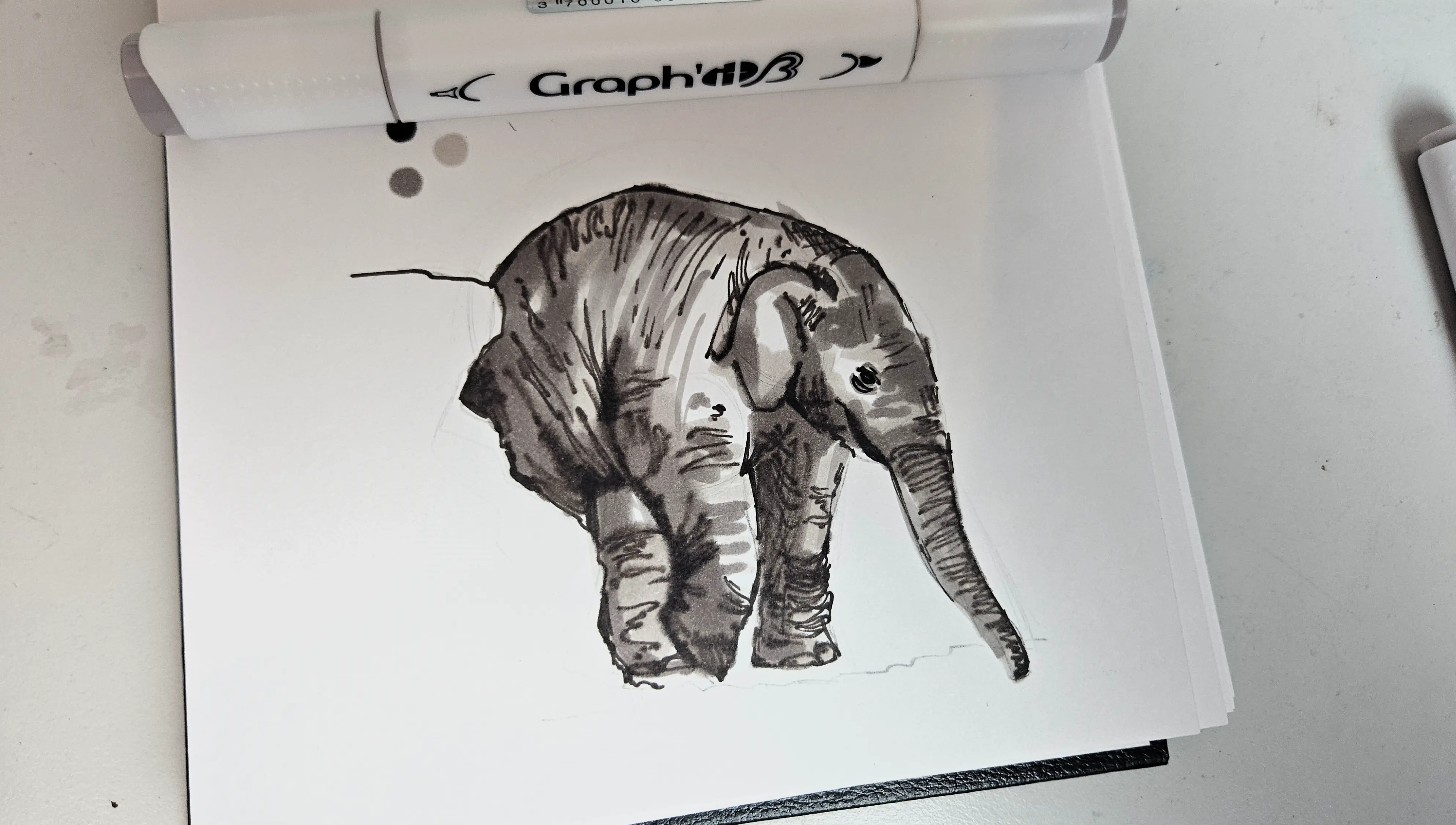 dessiner les ombres d’un éléphanteau aux feutres à alcool