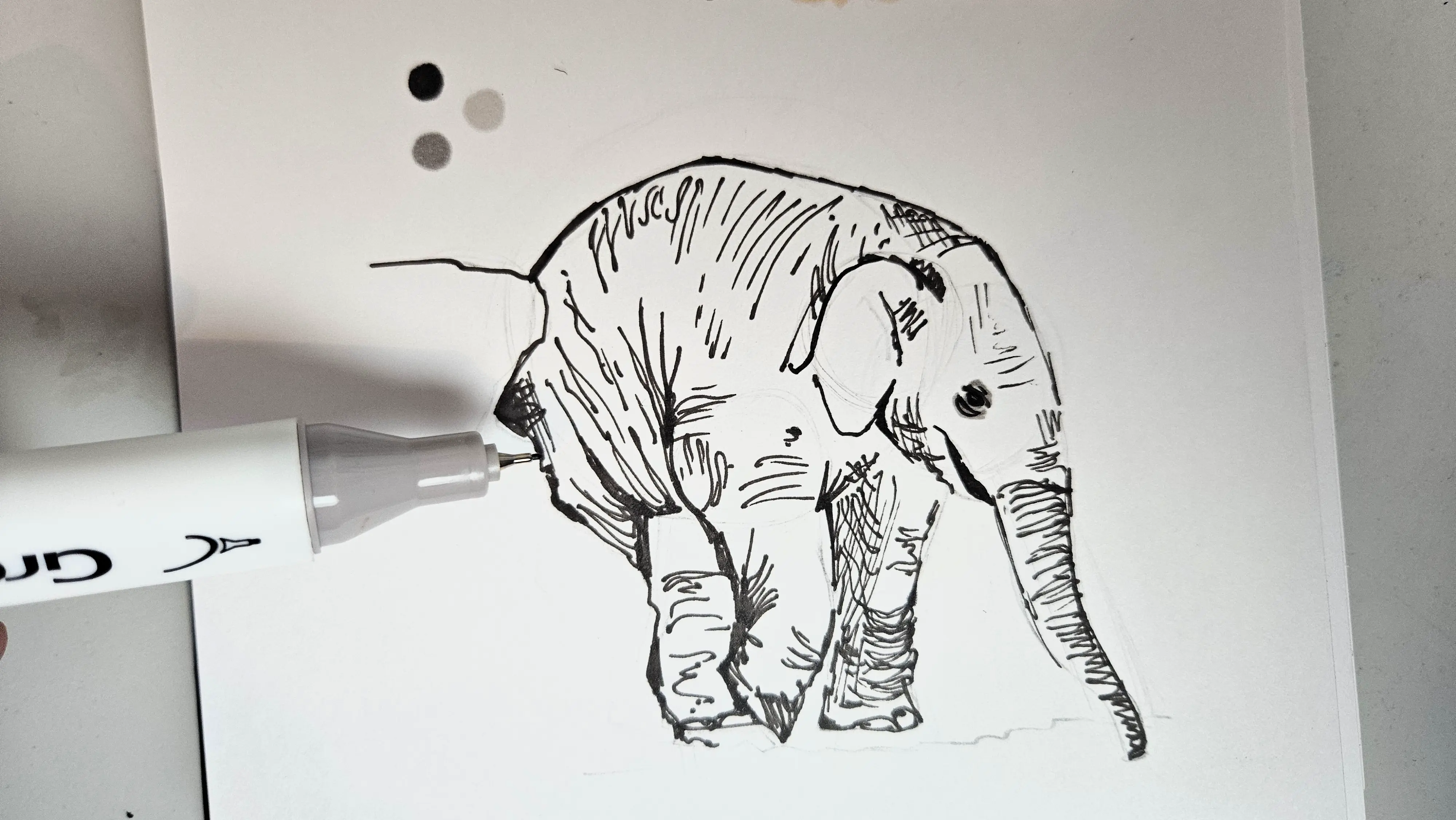 dessiner la peau d’un éléphanteau aux feutres à alcool
