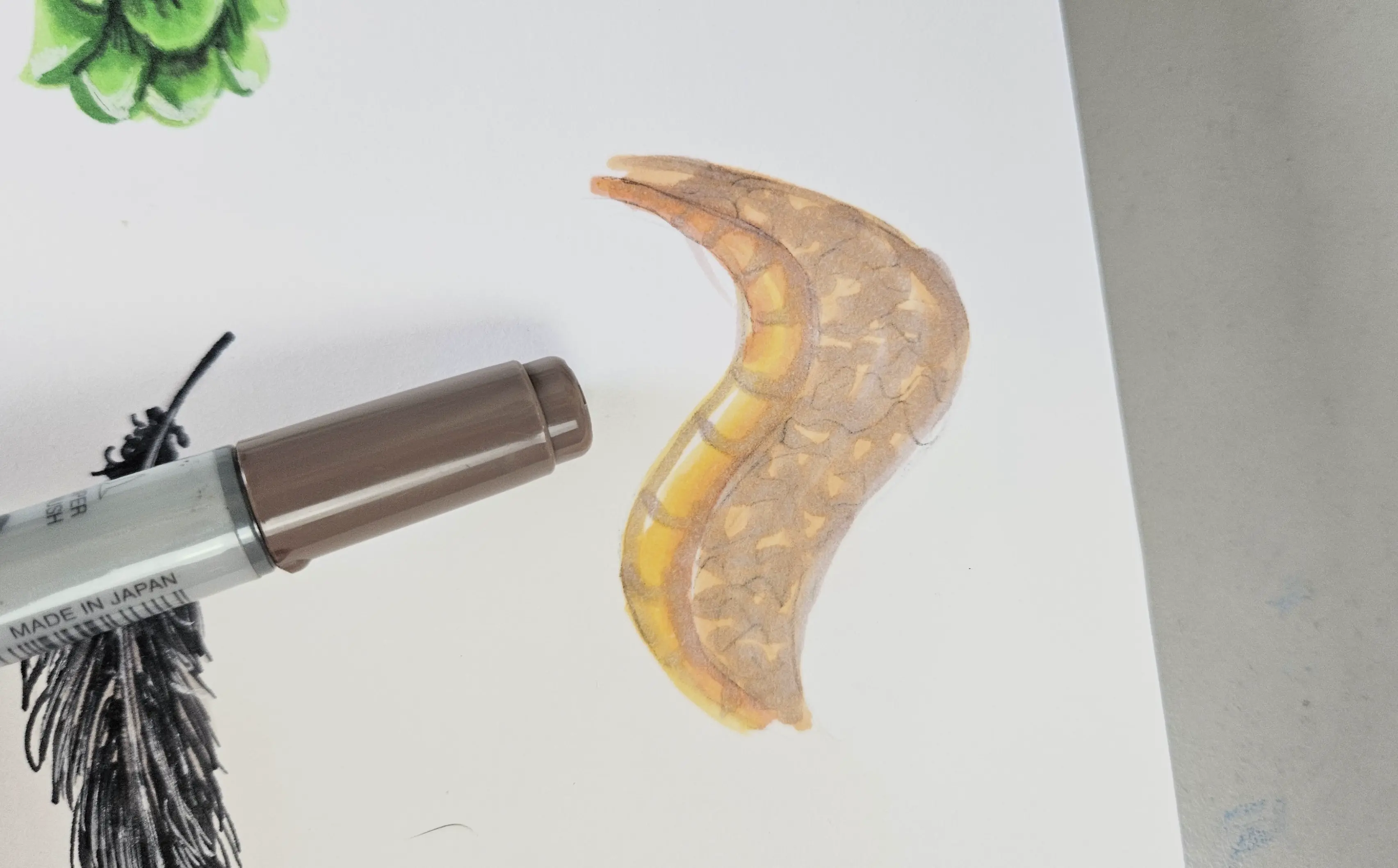 ajouter des détails avec ses feutres à alcool pour dessiner des animaux