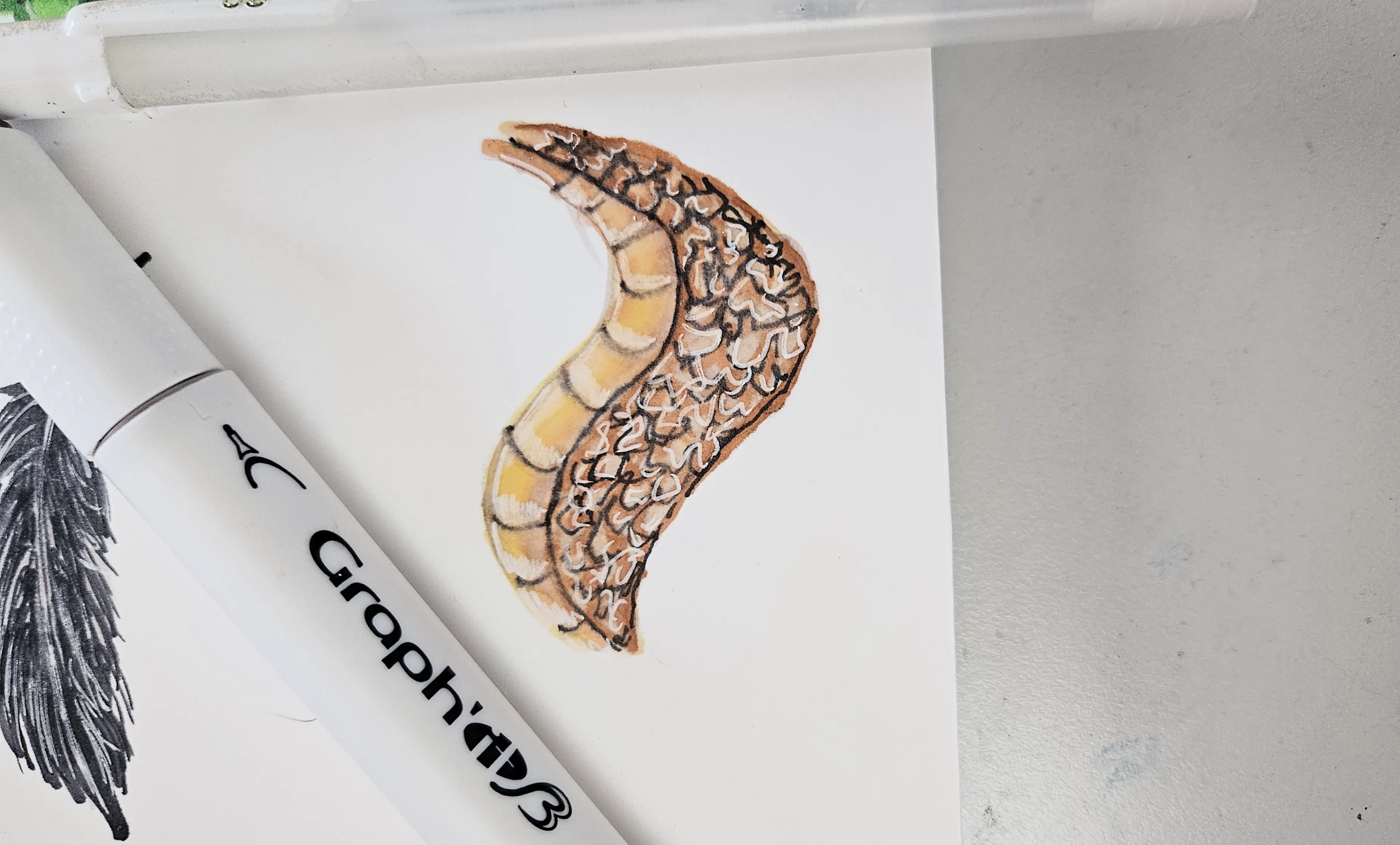 exemple d’un dessin aux feutres à alcool