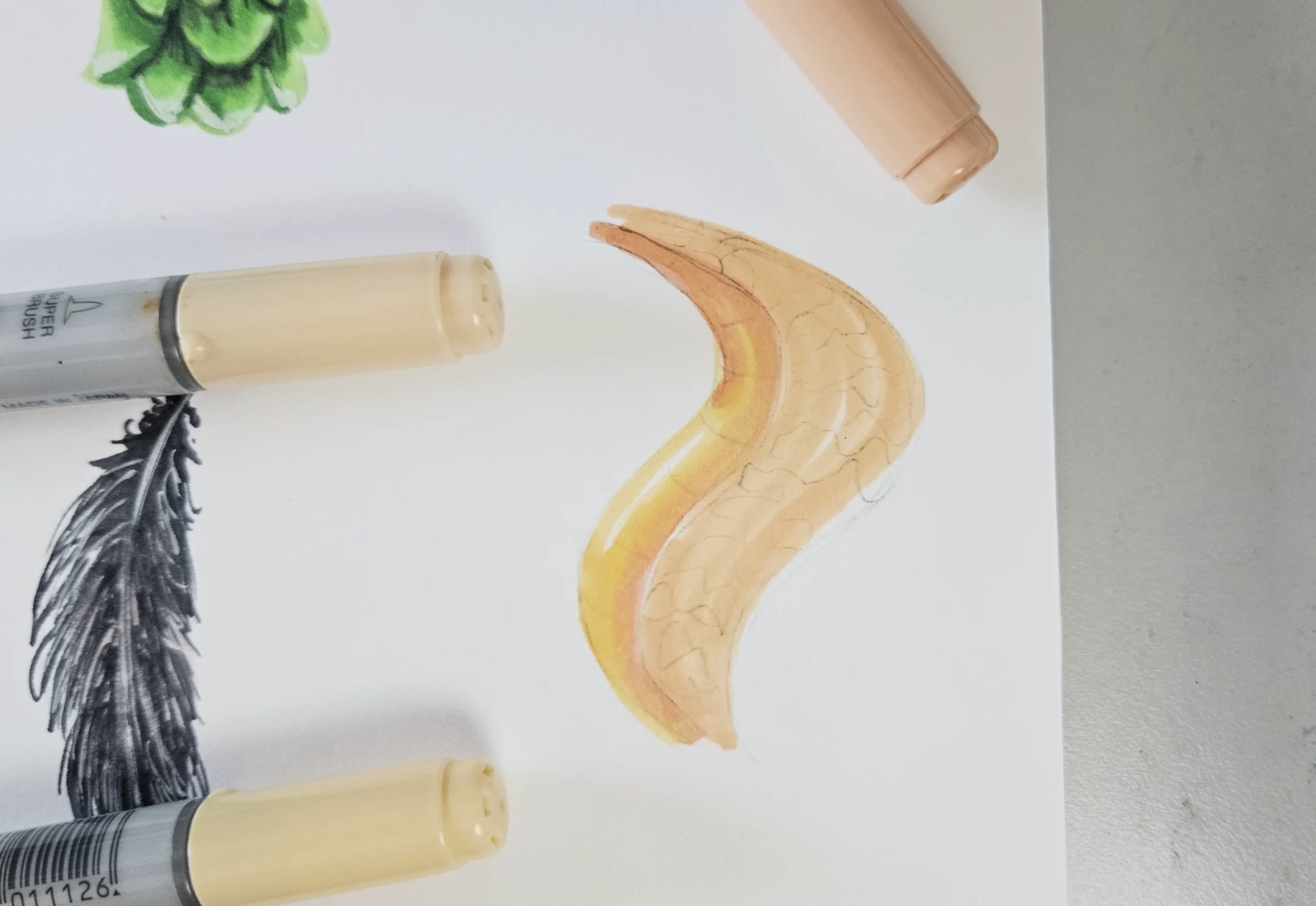 ajouter de la texture avec ses feutres à alcool pour dessiner des animaux