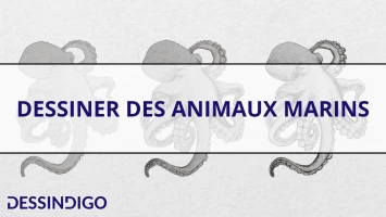 Dessiner des animaux marins