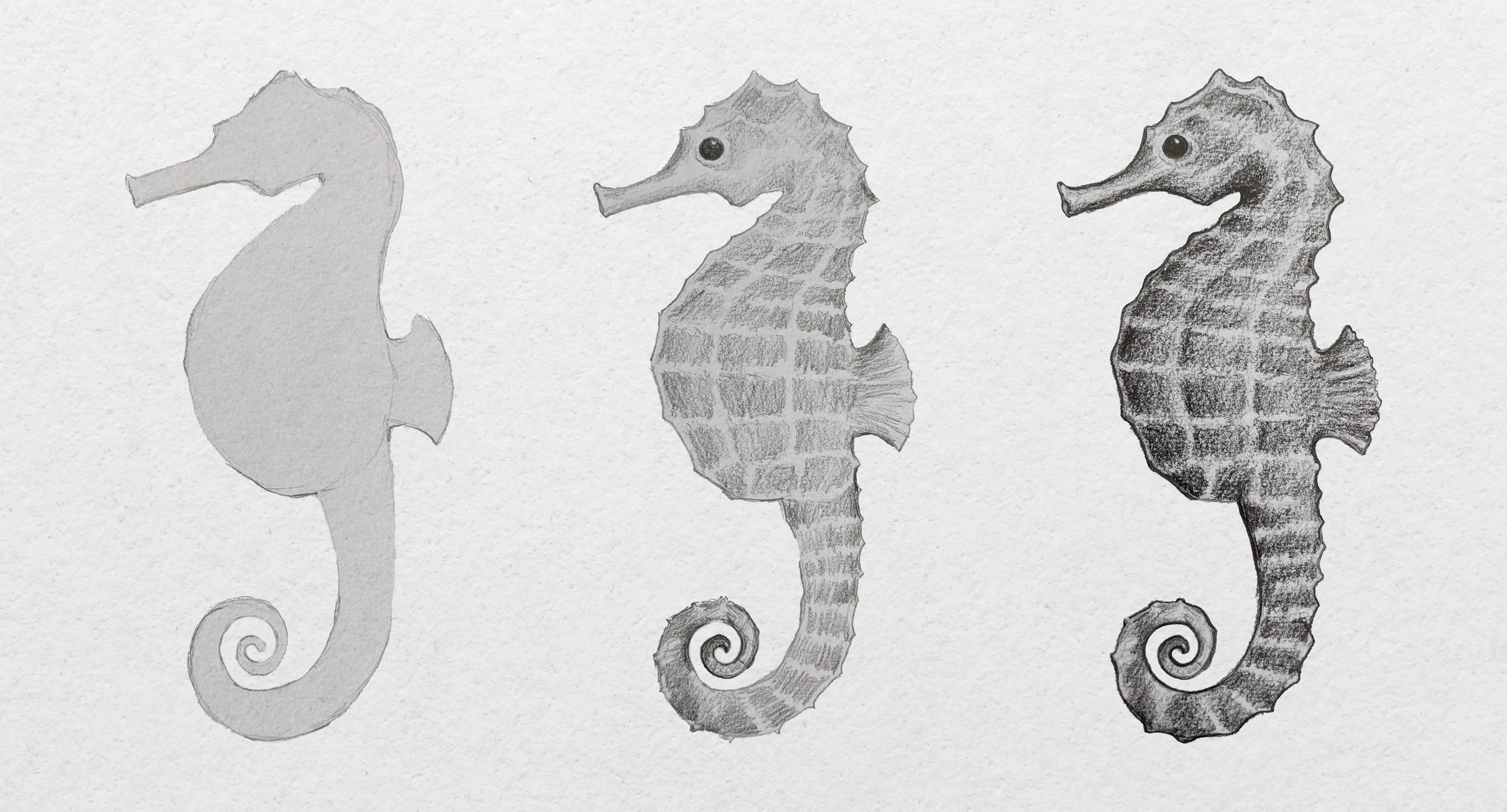 dessiner un hippocampe par étapes