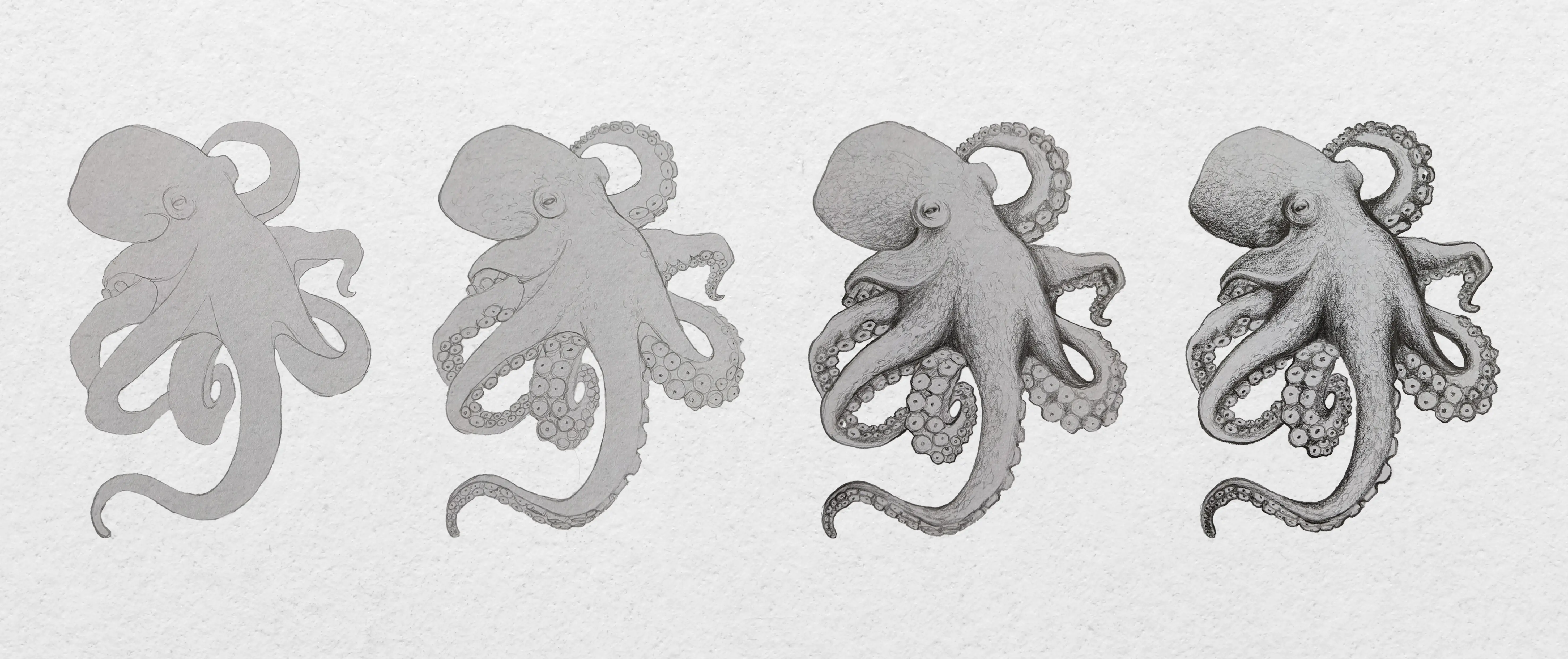 dessin de pieuvre par étapes