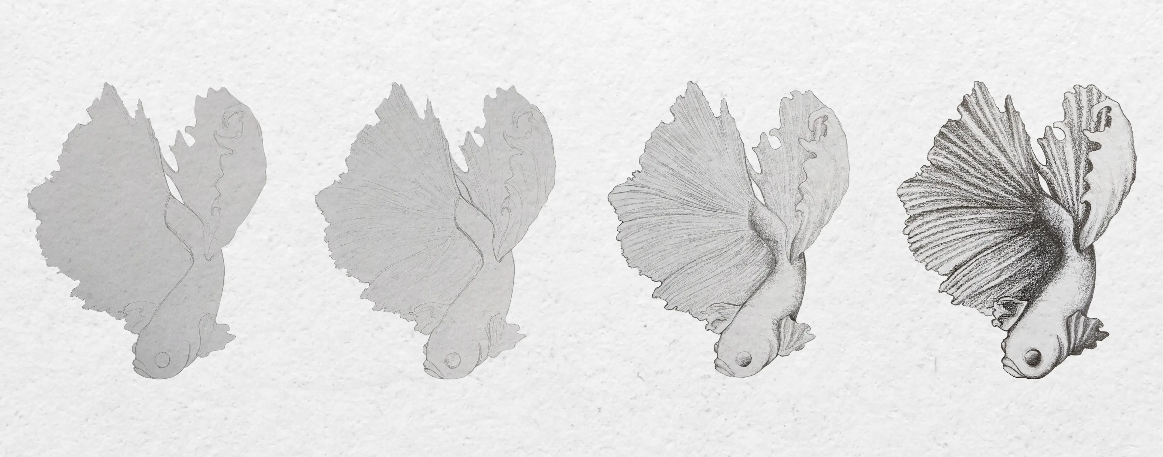 dessiner un poisson par étapes