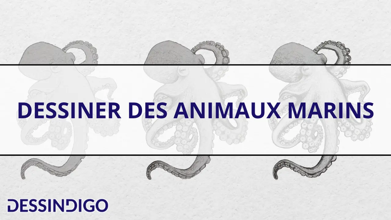 Dessiner des animaux marins