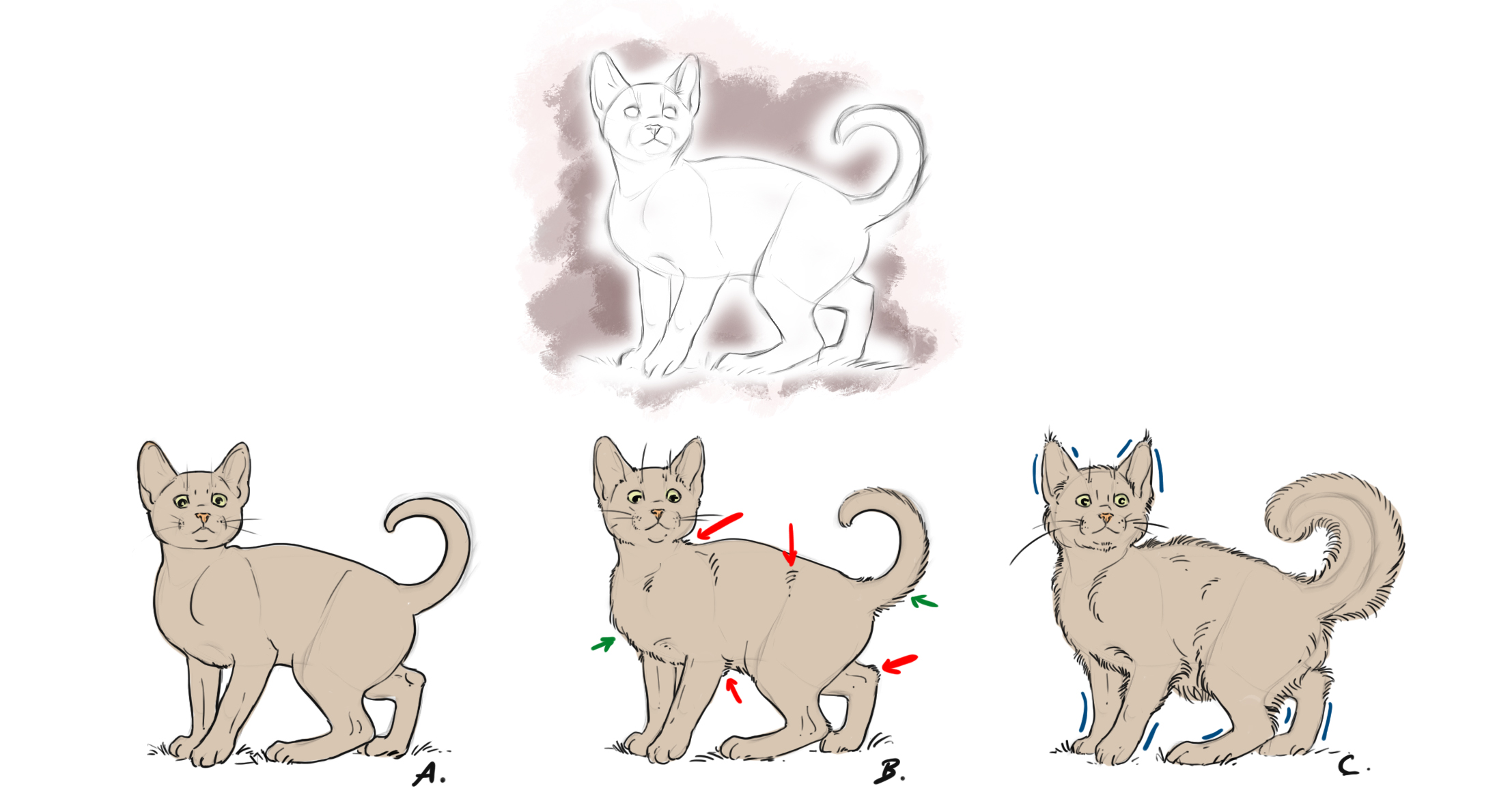 dessiner la fourrure des animaux