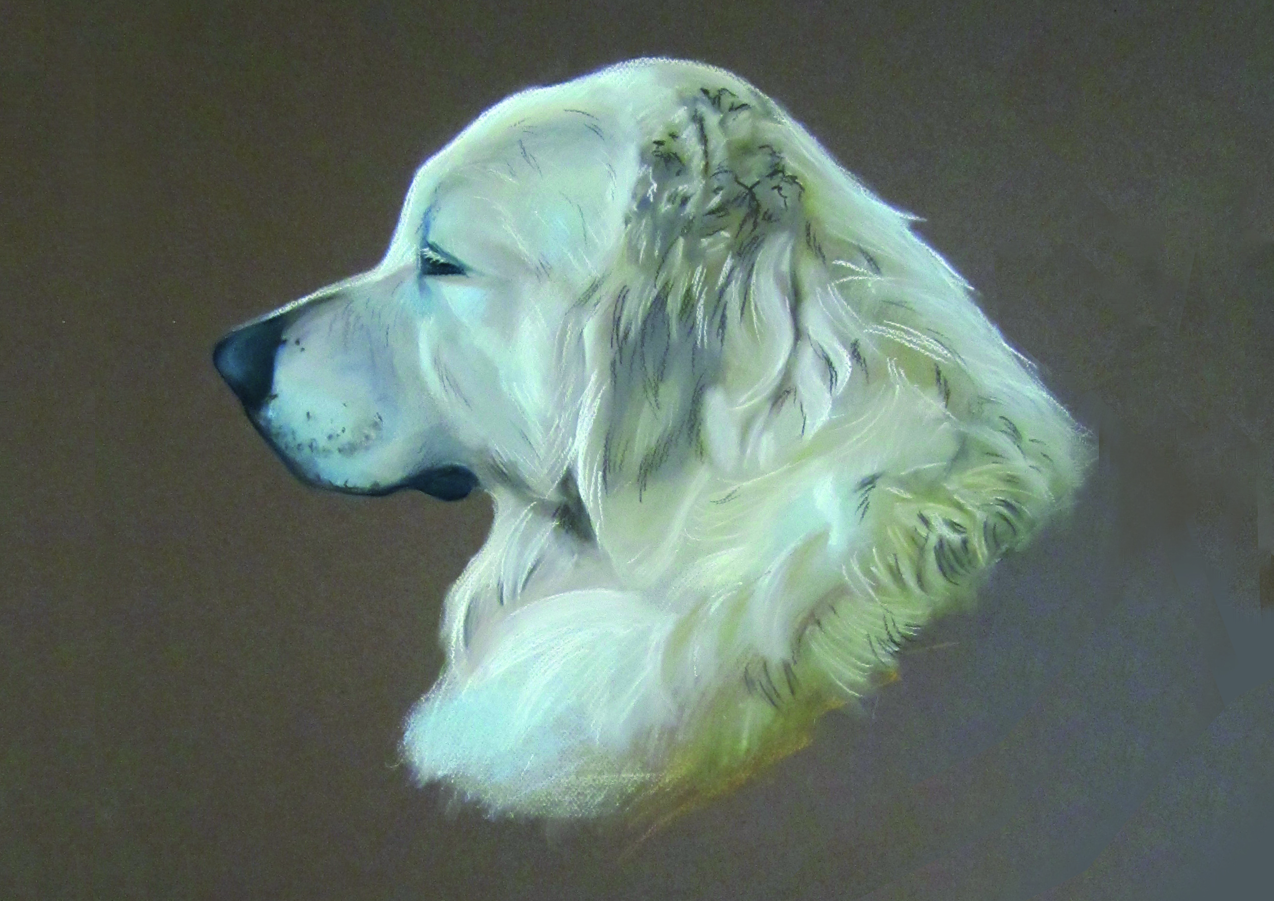 Les conseils importants pour apprendre à dessiner