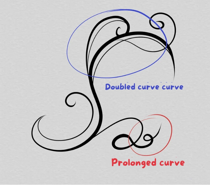 drawing of curves lined with an arabesque