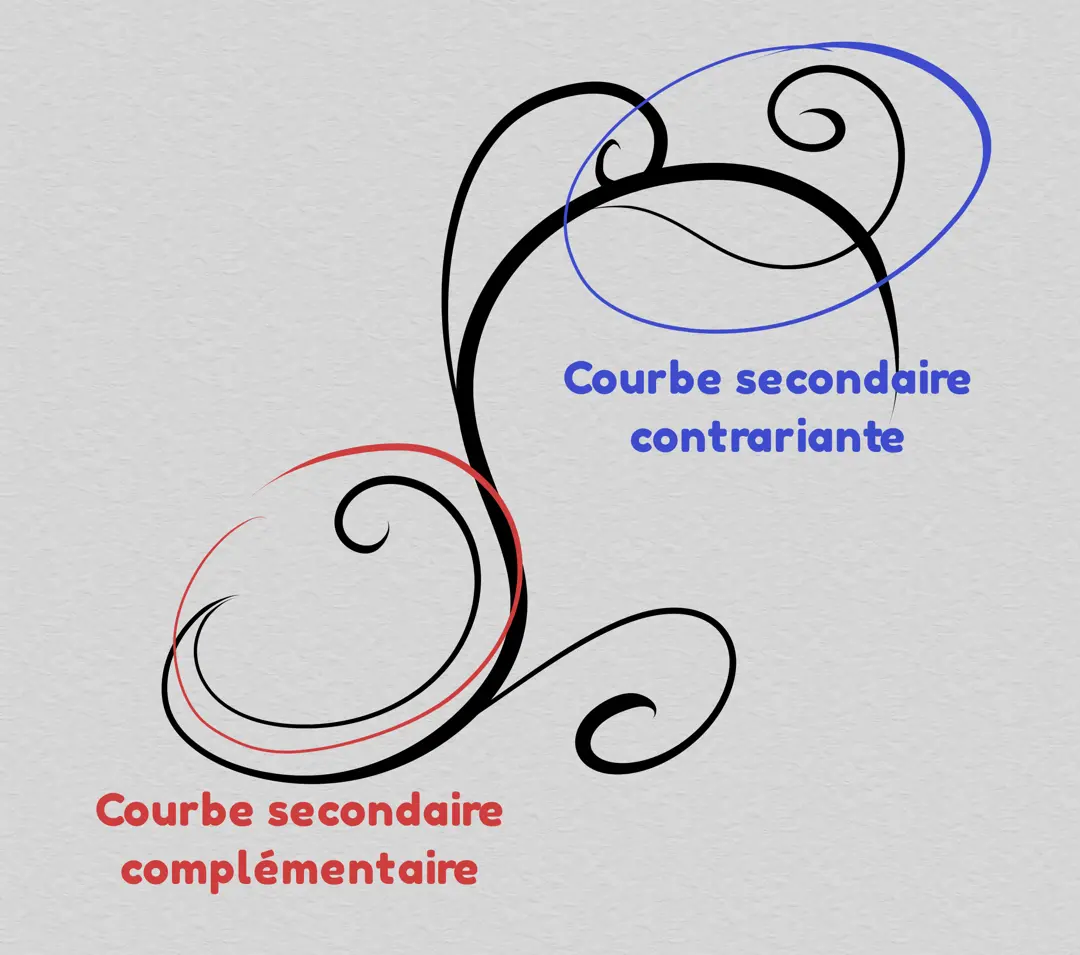 dessin de l’ensemble de courbes d’une arabesque