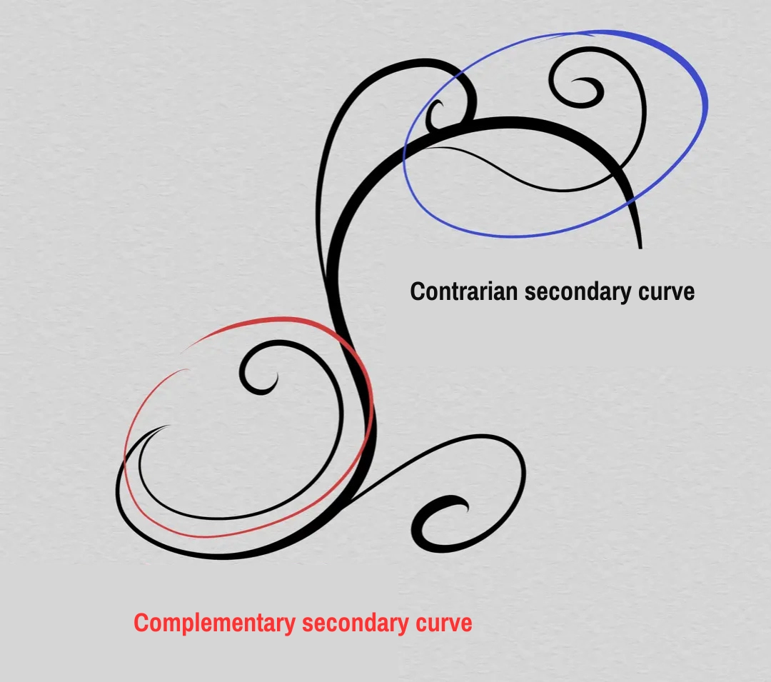 drawing of a set of arabesque curves