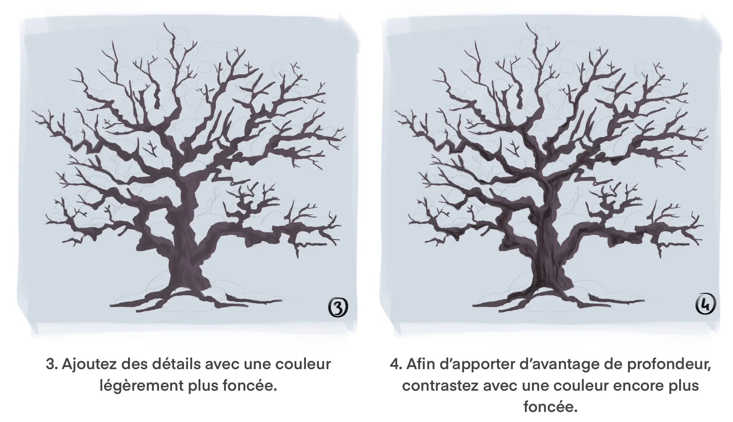 dessiner les couleurs d’un arbre enneigé