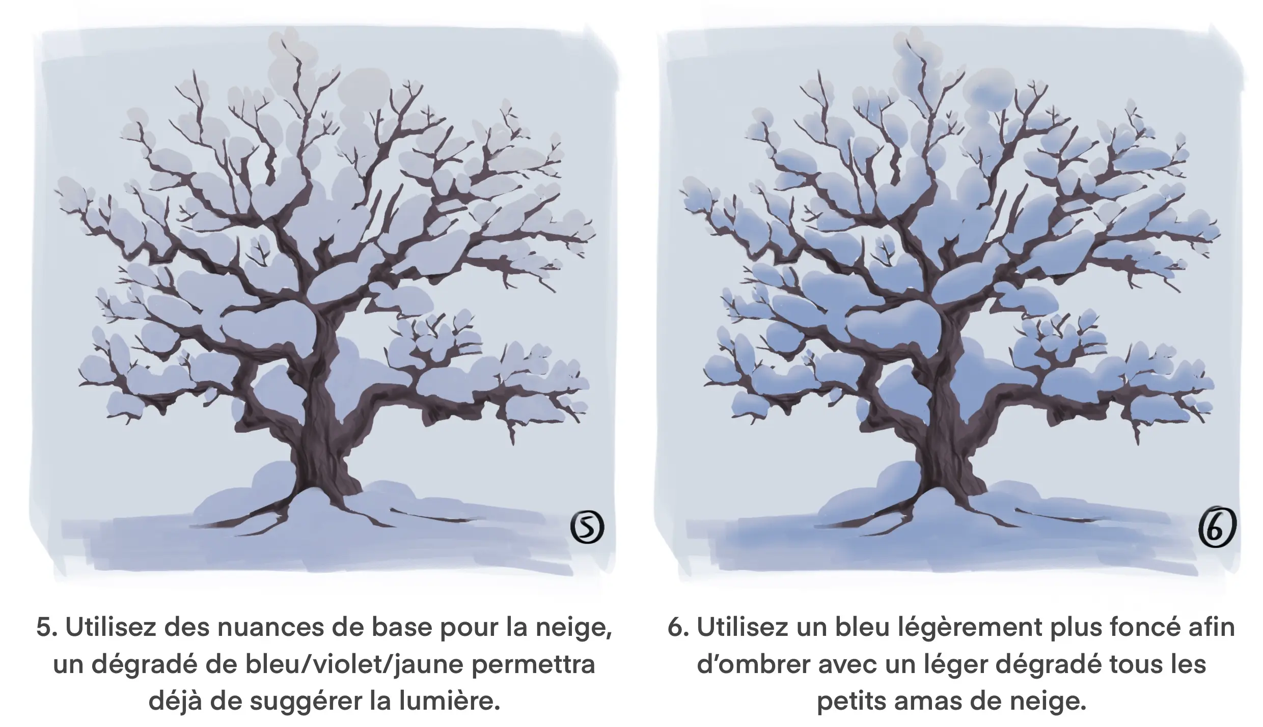 dessiner les ombres d’un arbre enneigé