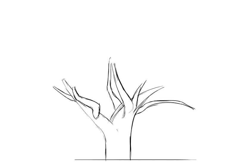 Dessin des branches du baobab, étape 2