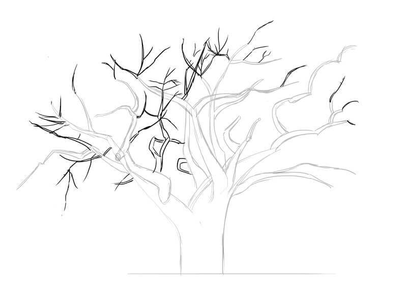 Dessin des branches du baobab, étape 3