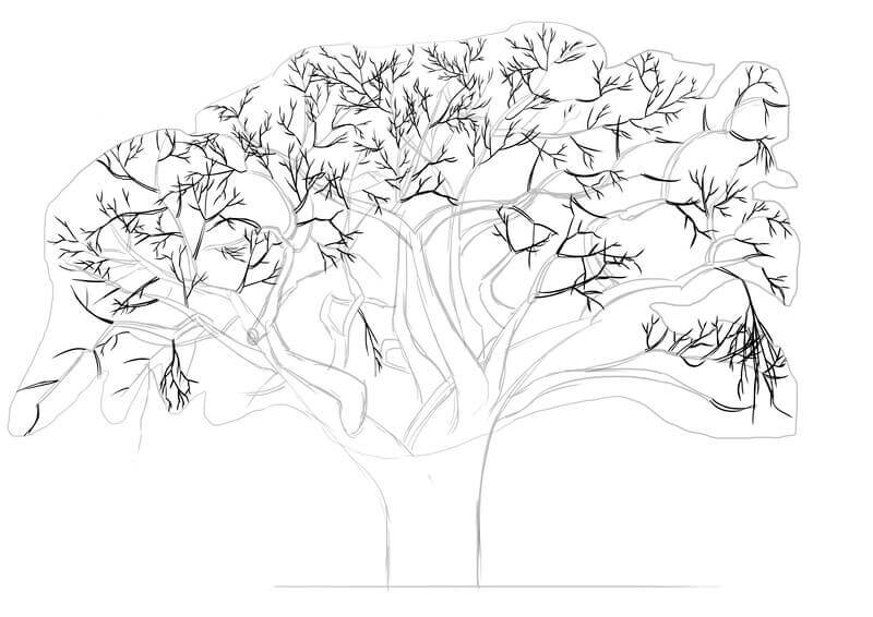 Dessin des branches du baobab, étape 6