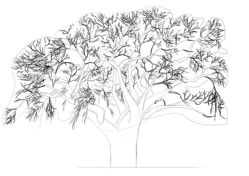 Dessin des branches du baobab, étape 7