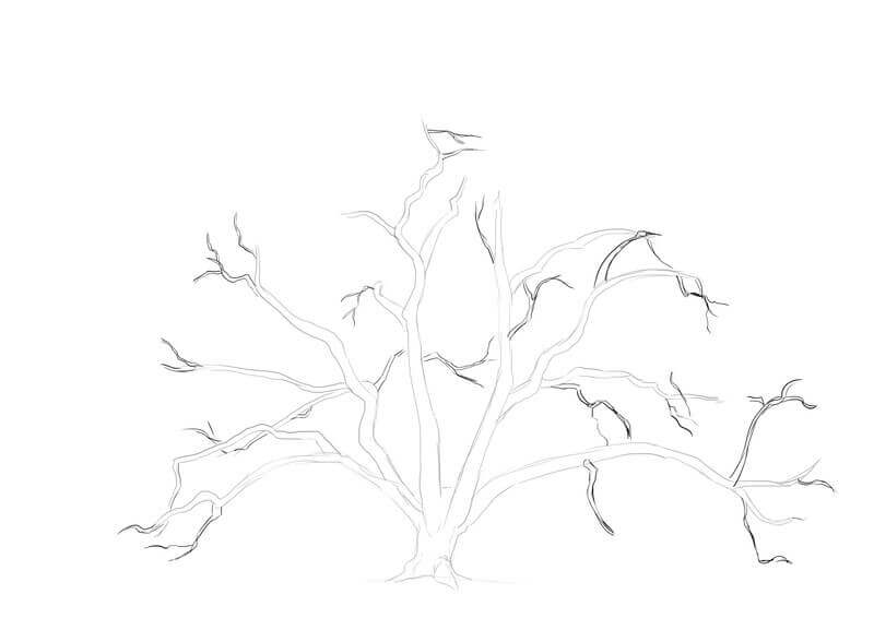 Détail des branches du chêne