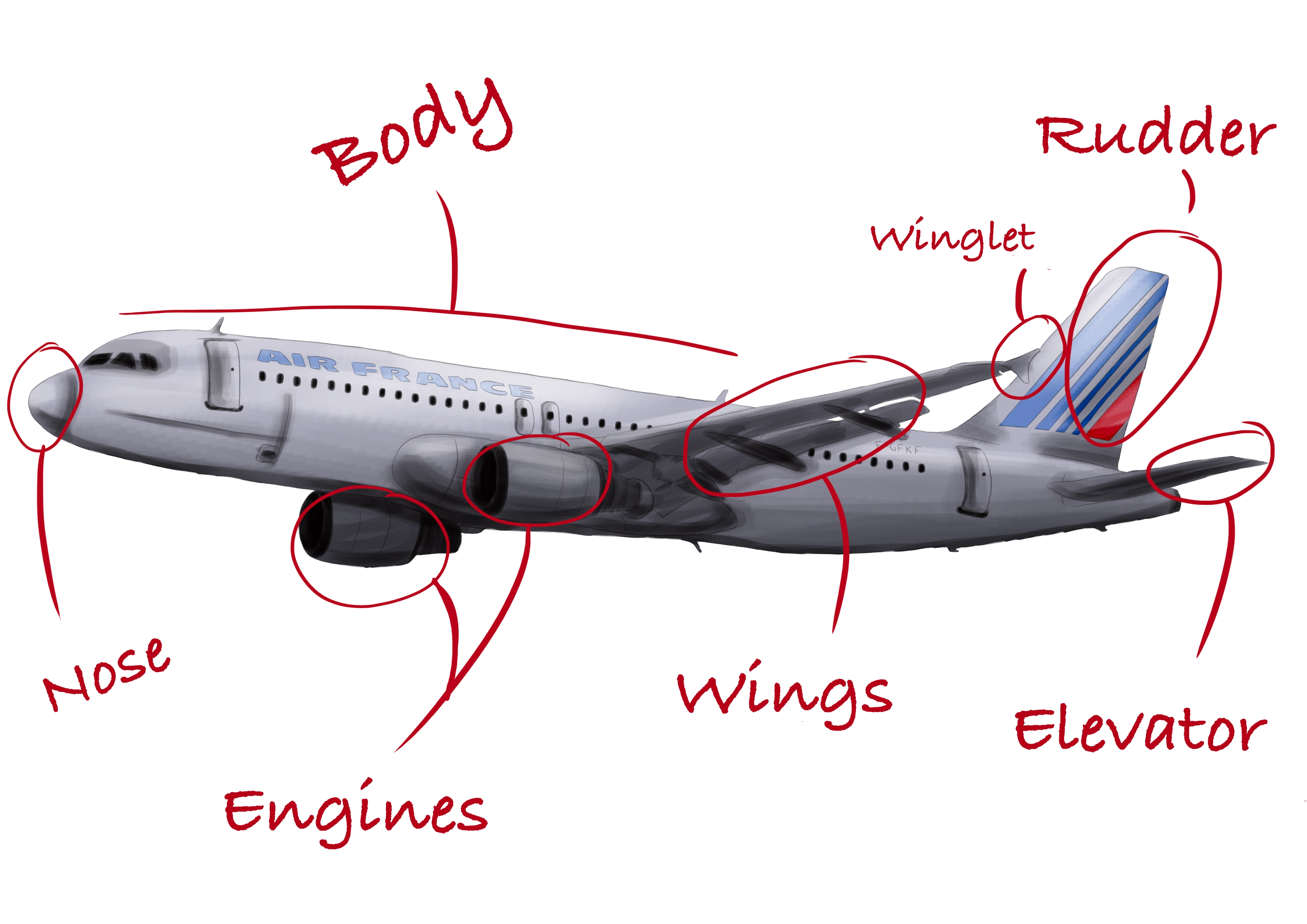 Diagram of the structure of an airliner