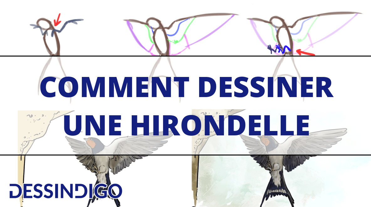 Comment dessiner une hirondelle