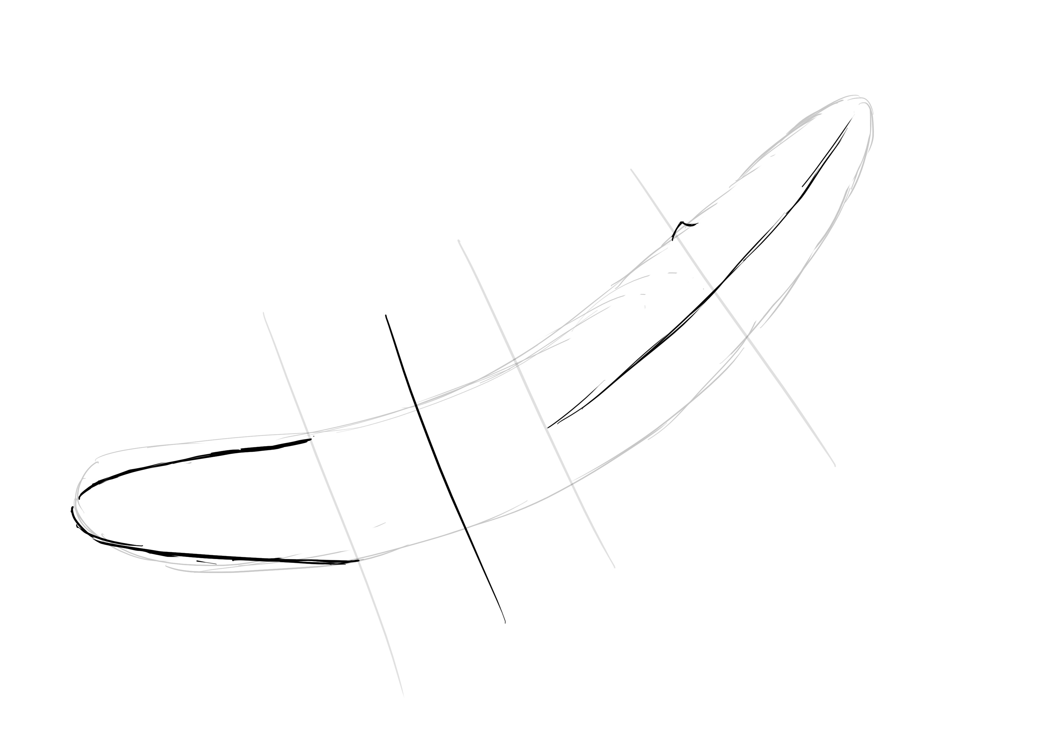 dessiner les nageoires avant de la baleine 1