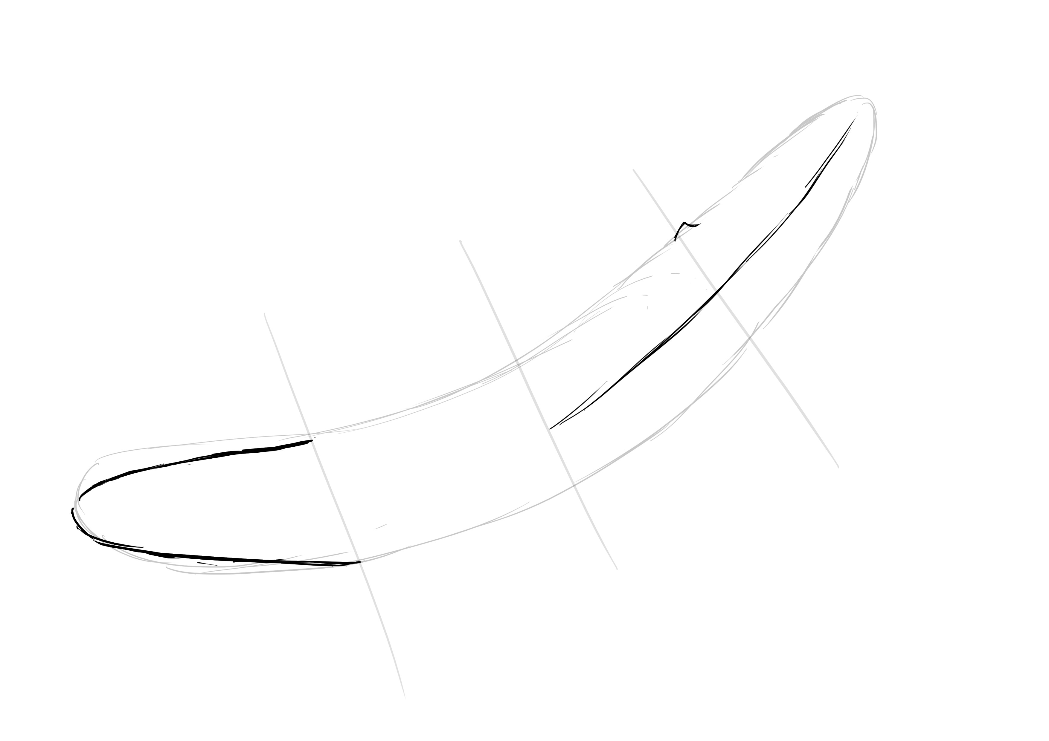 dessiner la nageoire de la baleine