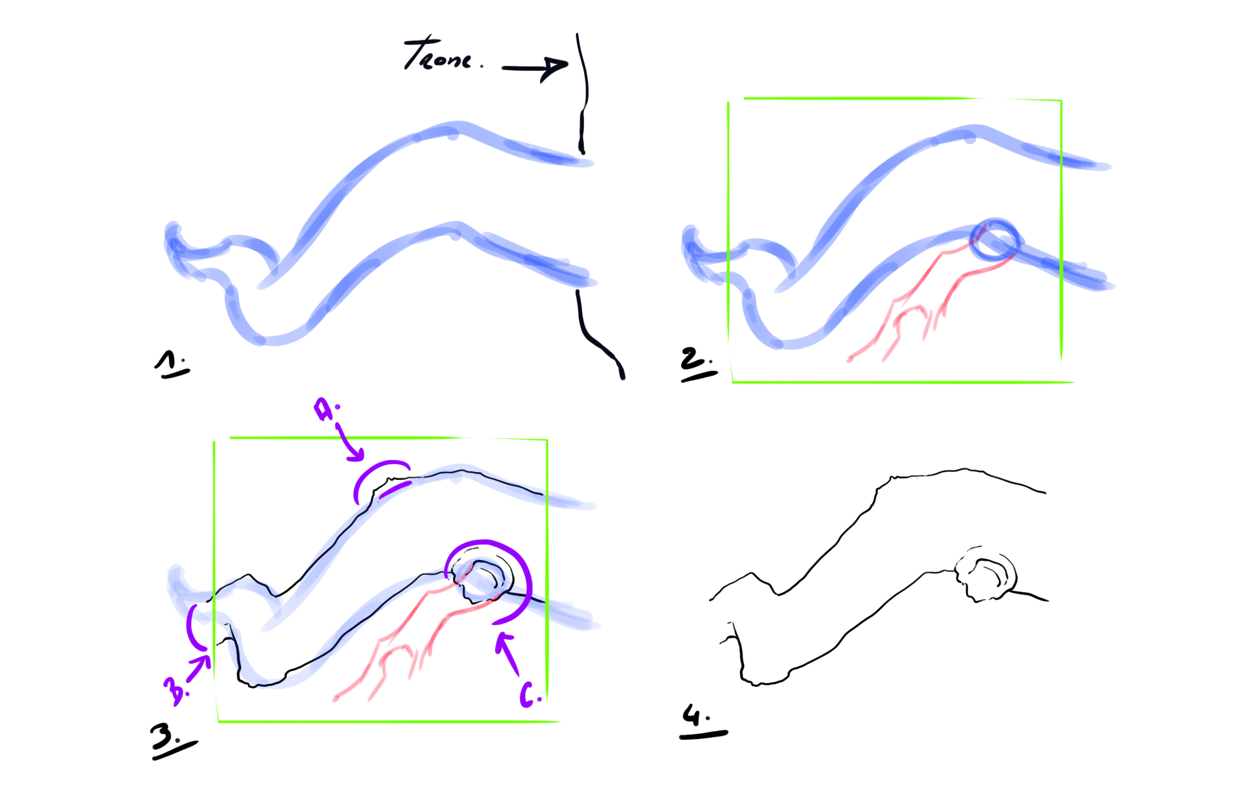 croquis d’une branche