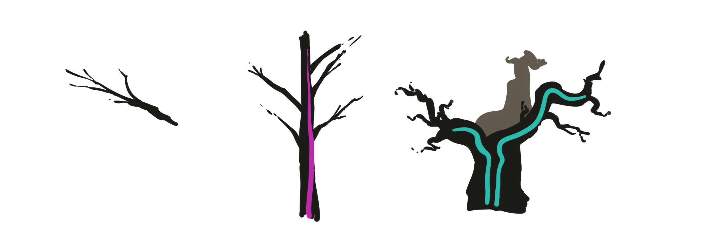 croquis des branches et de troncs