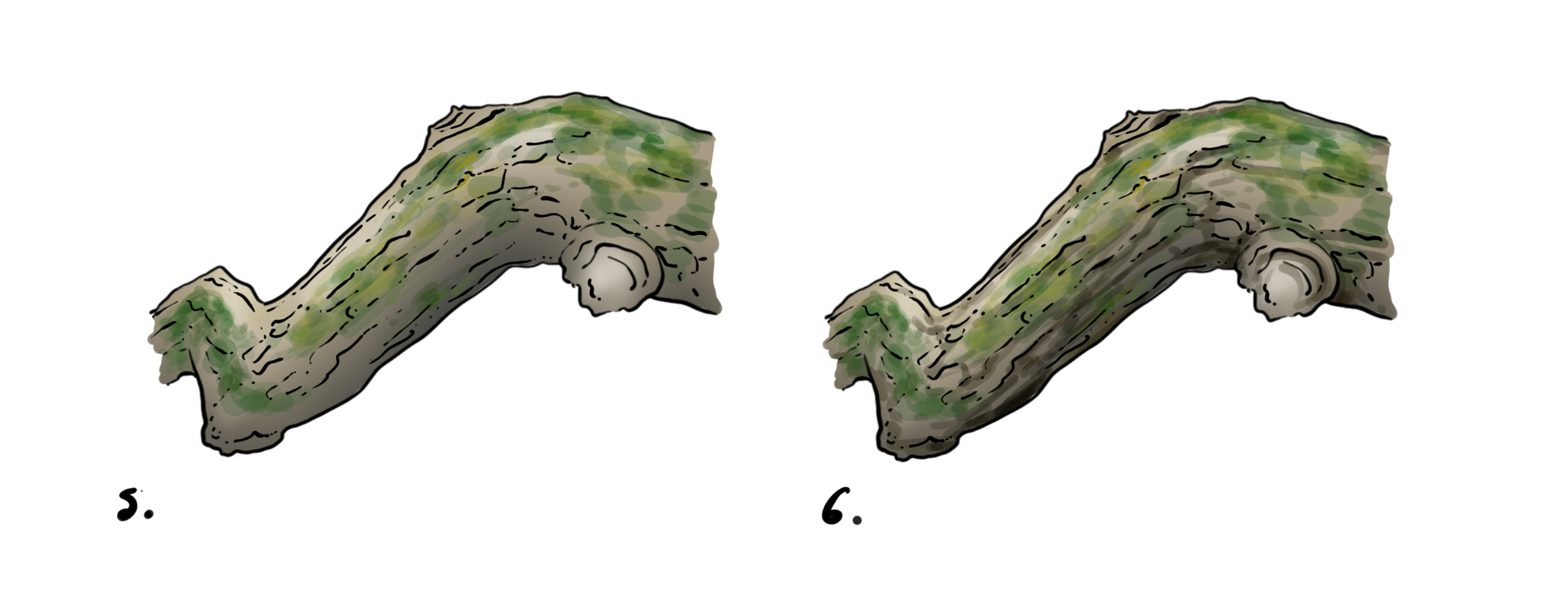 dessiner une branche en couleur 3