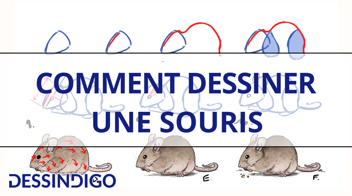 Comment dessiner une souris