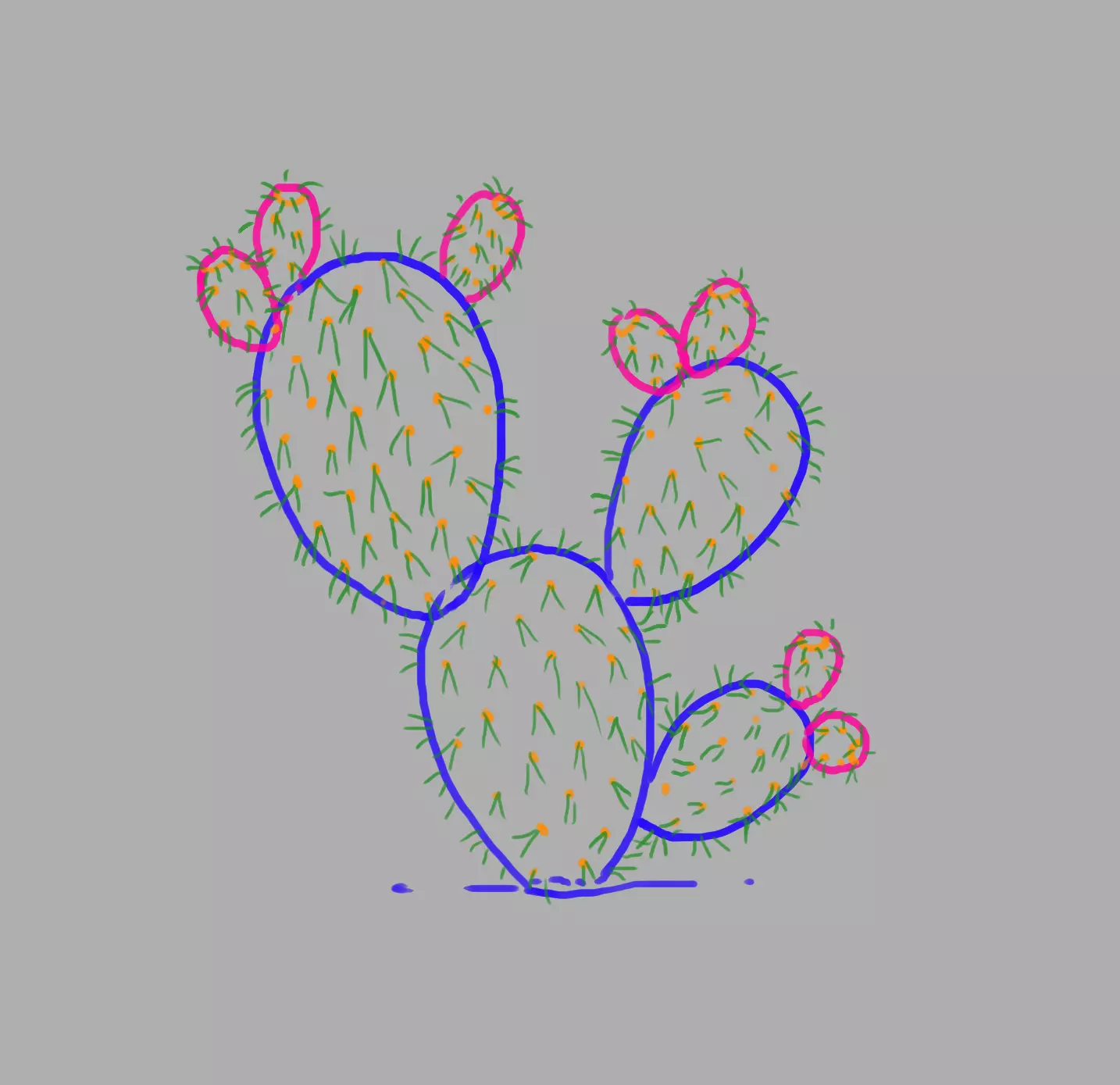 dessin des aiguilles du figuier de barbarie