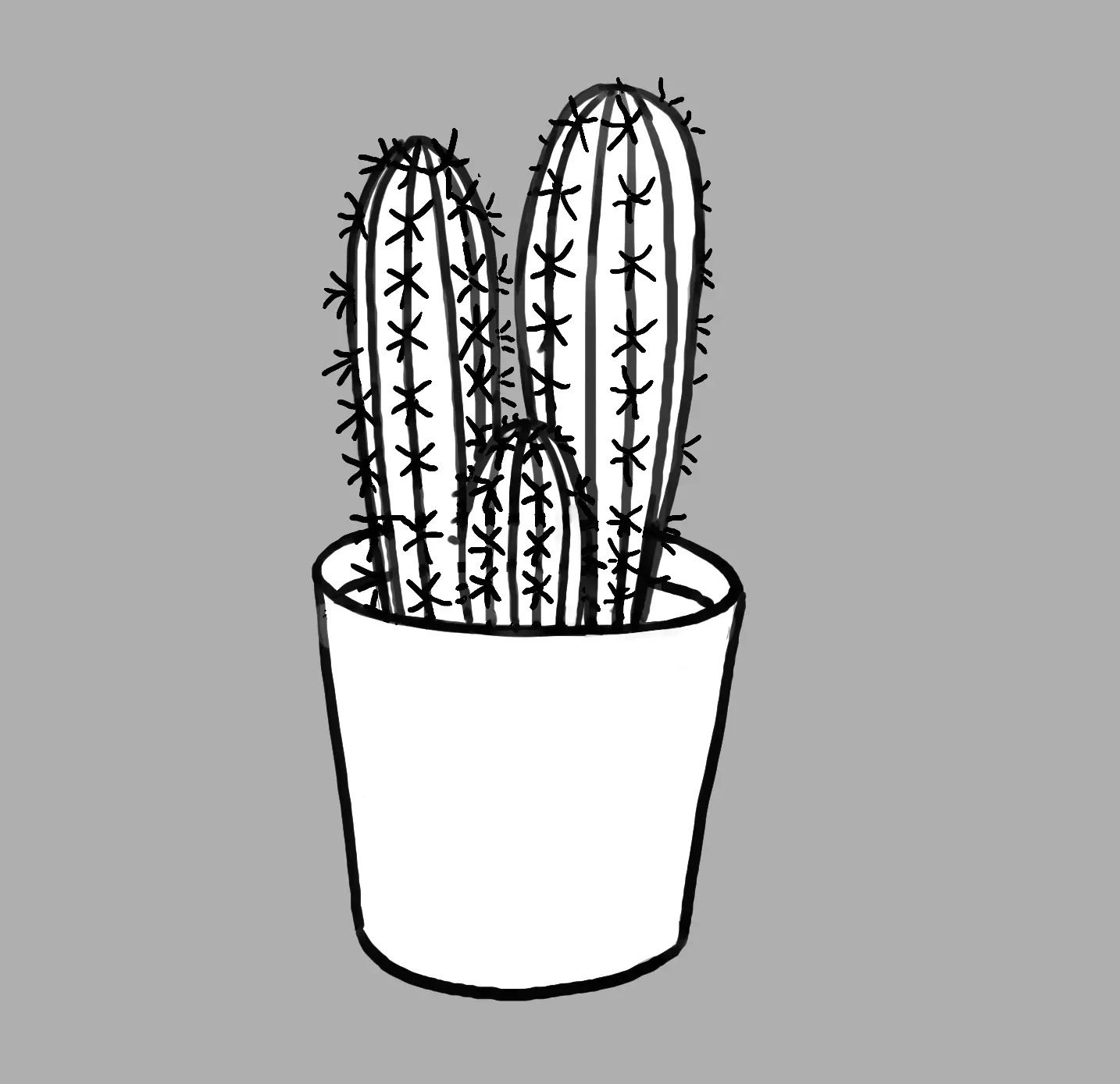 dessin d’un cactus d’intérieur