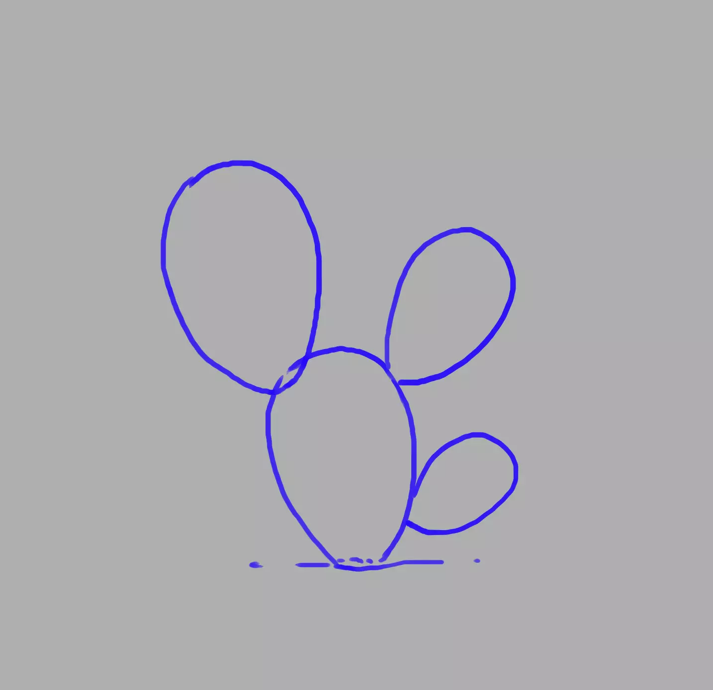 dessin des raquettes du cactus