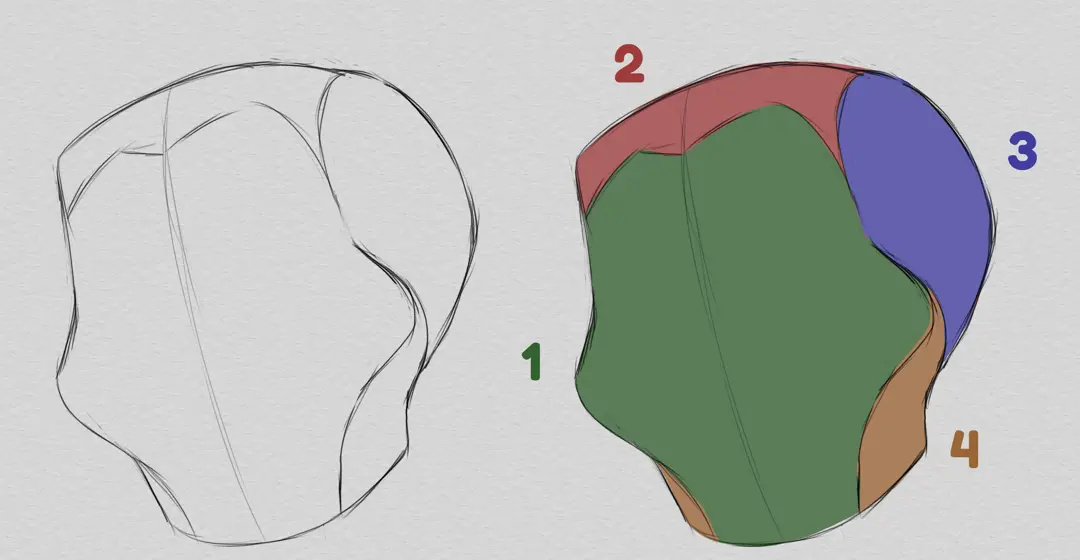 dessiner la base d’une caricature d’après photo