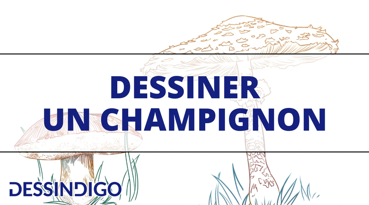 Dessiner un champignon
