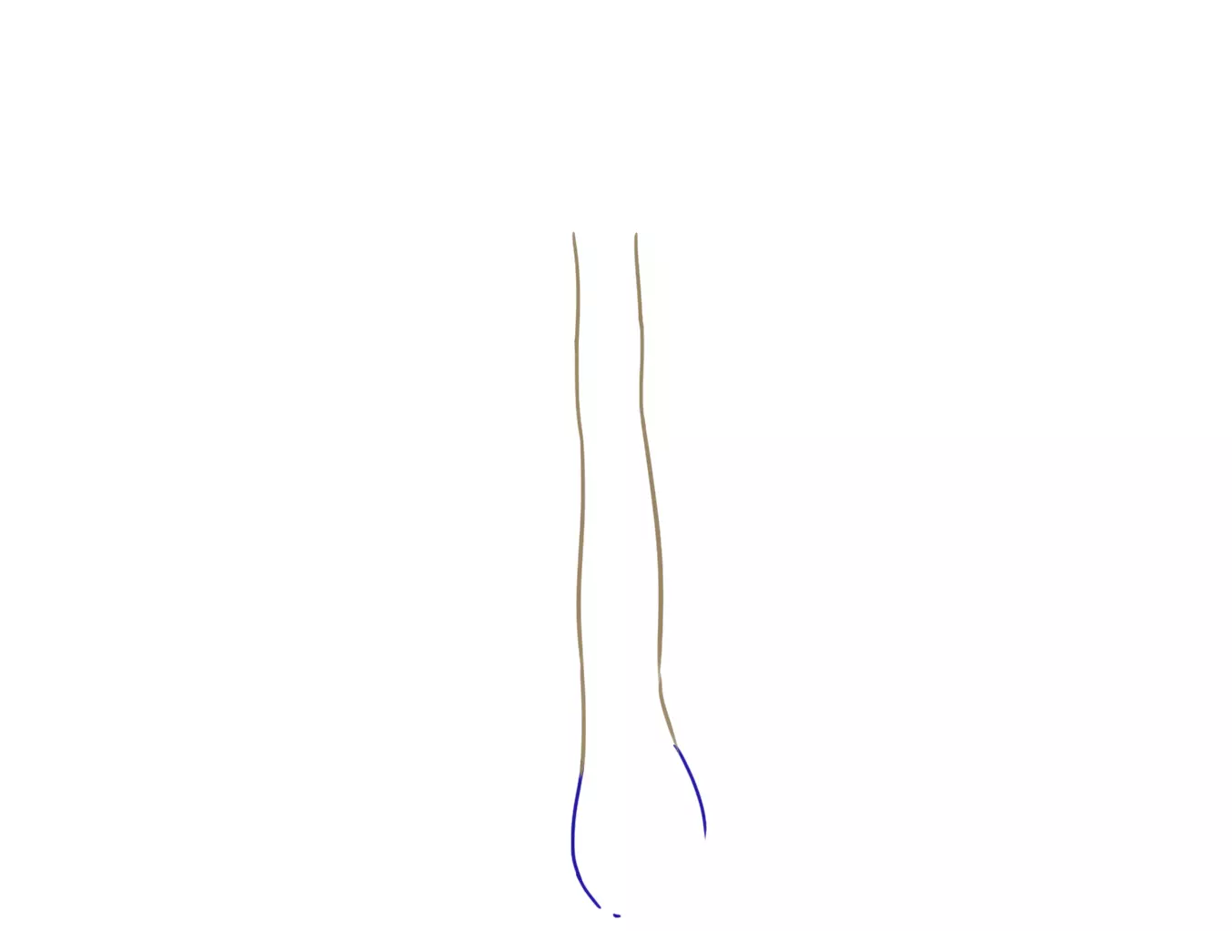 dibujo del bulbo de un hongo