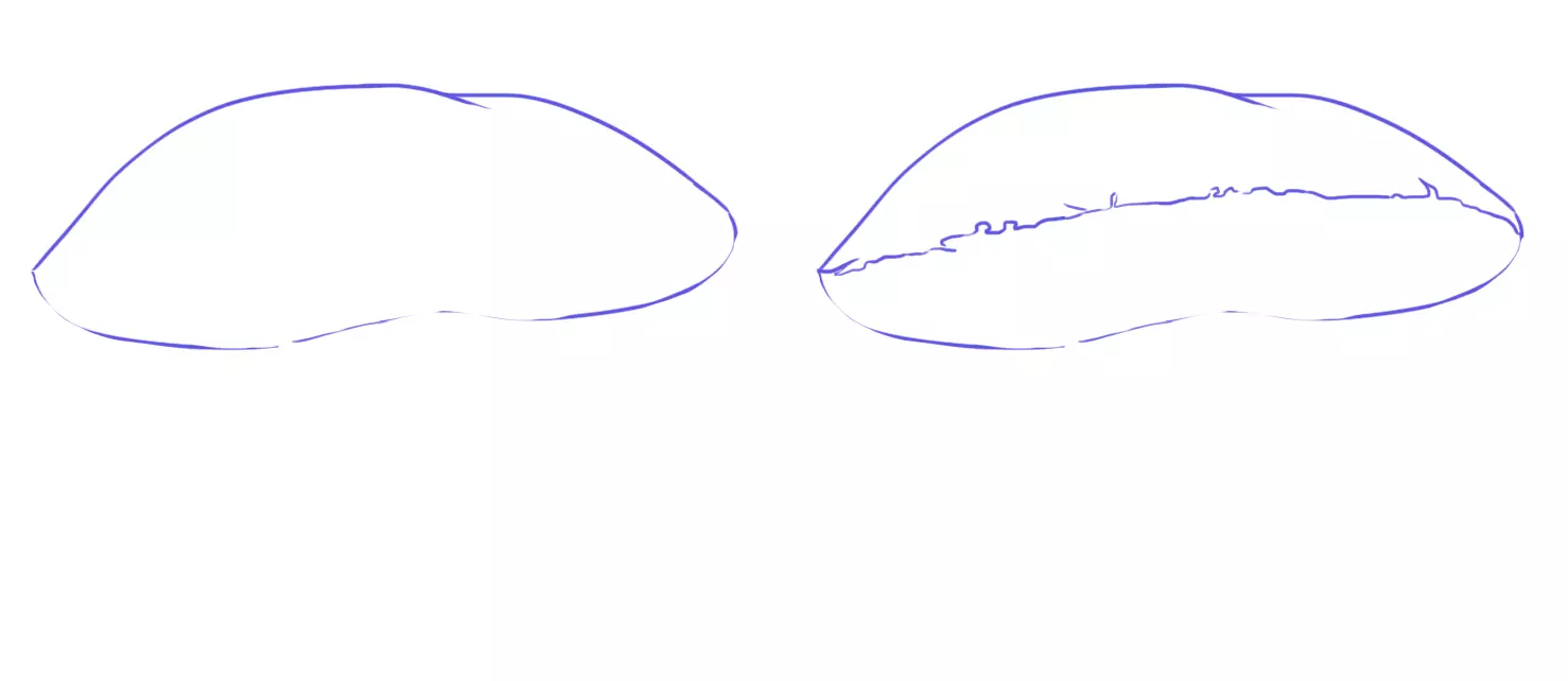 dessin du chapeau d’un bolet