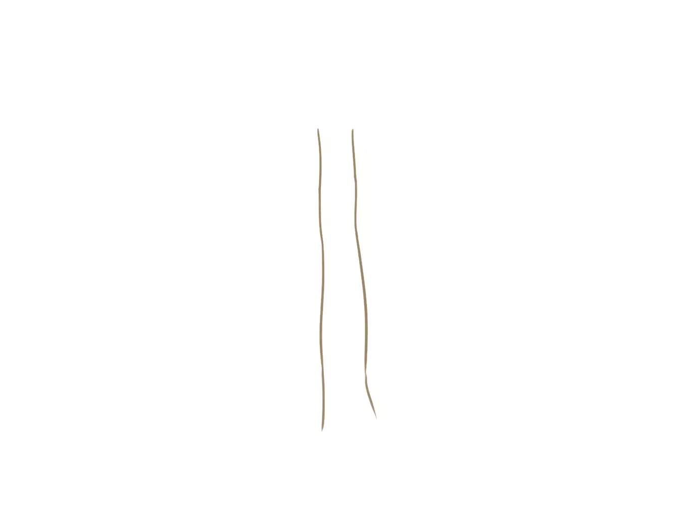 dessin du pied d’un champignon