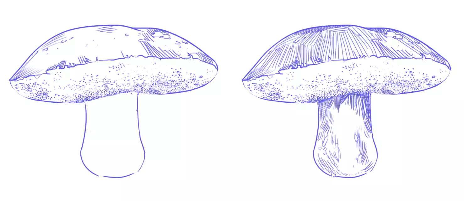 dessin de la texture d’un bolet