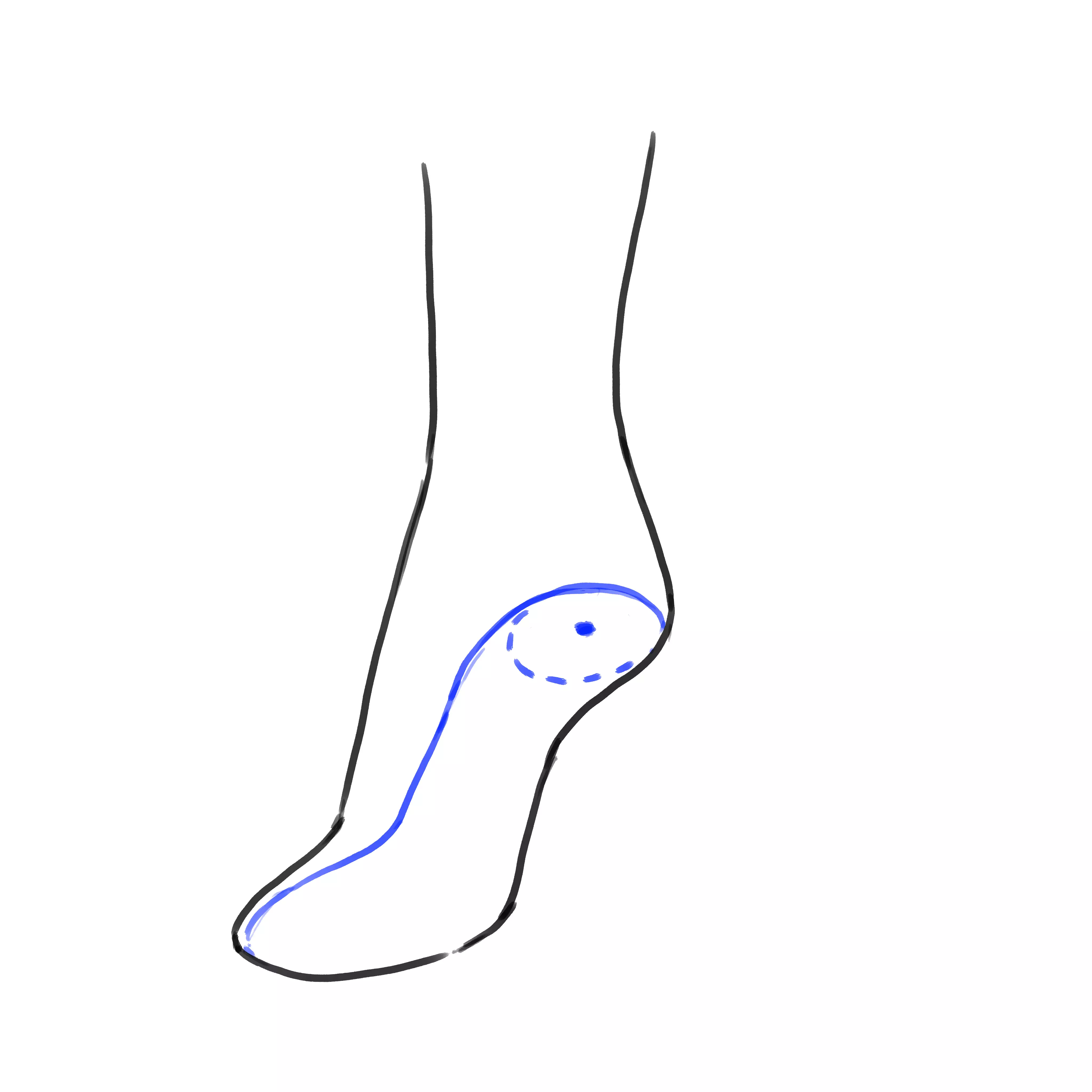 dessin du pied pour des escarpins